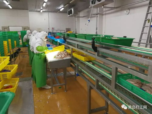 太平恩利食品加工廠 年薪上萬、食宿全包的高福利誠(chéng)聘