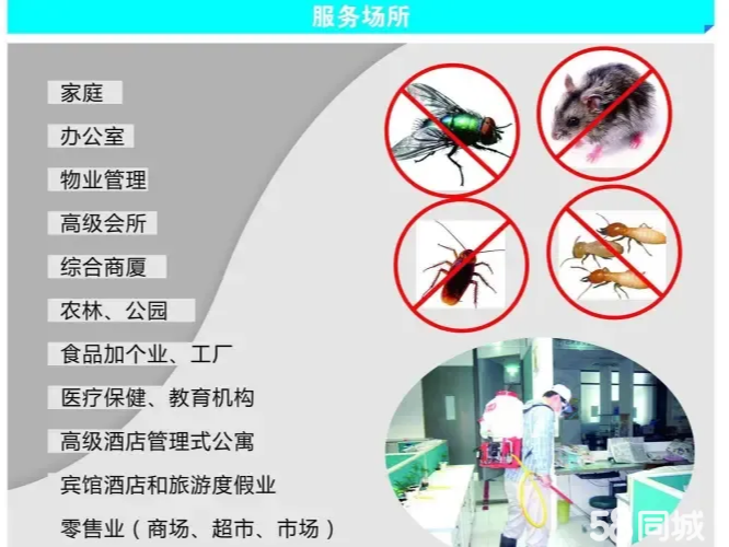 酒店業(yè)“蟲”中之重 構(gòu)建高效病蟲害防治管理體系